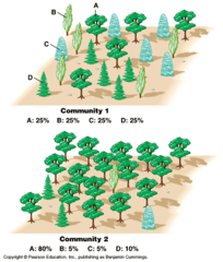 <p>measure of the number of different species in a community</p>