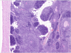 <p>What does this image show?</p>