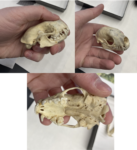 <p>What is this?</p>