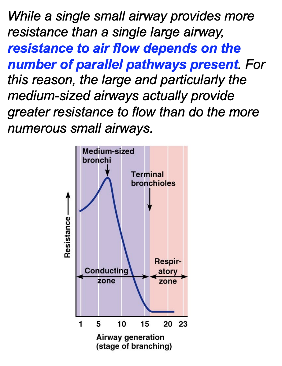 <p>resistance in respiratory passageways</p>