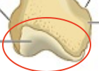 <p>What is this?</p>