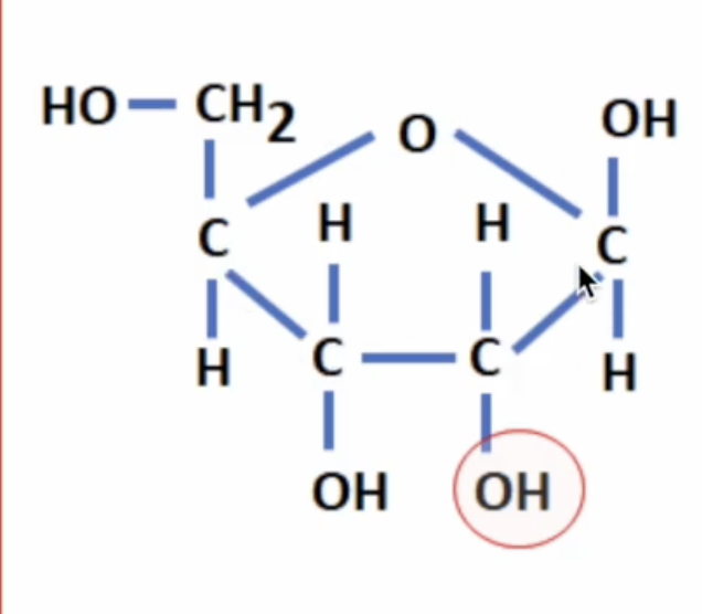 <p>What pentose sugar is this?</p>