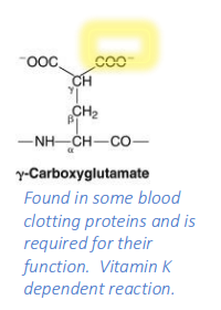 <p>Found in some blood clotting proteins and is required for their function</p><ul><li><p>Vitamin K dependent reaction.</p></li></ul><p></p>