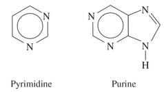<p>have an atom other than C in the ring</p>