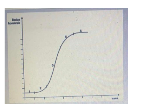 <p>Na powyższym schemacie faza linowego wzrostu zaznaczona jest numerem</p>