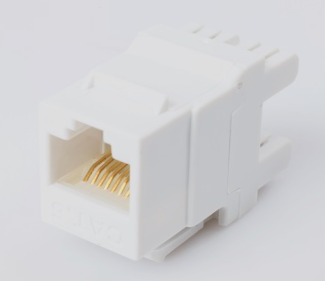 <p>The female version of RJ-45. It is found on switches, routers, wall outlets, and patch panels. </p>