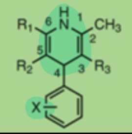 <p><strong>CCBs: Dihydropyridines (DHPs): </strong><span style="background-color: transparent;">Nifedipine</span><strong>, </strong><span style="background-color: transparent;">Amlodipine</span><strong>, </strong><span style="background-color: transparent;">Clevidipine</span></p><p><span style="background-color: transparent;">Structure/Concepts</span></p><ul><li><p><span style="background-color: transparent;">Ring currents</span></p></li><li><p><span style="background-color: transparent;">1,4-DHP (1,4 = where </span>hydrogens<span style="background-color: transparent;"> are added)</span></p><ul><li><p><span style="background-color: transparent;">Primarily </span>unionized</p></li><li><p><span style="background-color: transparent;">_______ is essential for activity. &nbsp;(<u>KNOW</u>!)</span></p></li><li><p><span style="background-color: transparent;">Substitution at the _______ position or the use of oxidized (</span>pyridine<span style="background-color: transparent;">) or reduced (</span>piperidine<span style="background-color: transparent;">) → decreases activity</span></p></li><li><p><span style="background-color: transparent;">With exception of </span>amlodipine<span style="background-color: transparent;">, all 1,4-DHPs have C2 + C6 methyl groups.</span></p></li><li><p><span style="background-color: transparent;">Ester groups at the _______ + _______ positions optimize activity.&nbsp;</span></p></li><li><p><span style="background-color: transparent;">A substituted phenyl ring at the _______ position optimizes activity, and _______ substitution with a small nonplanar alkyl or cycloalkyl group decreases activity.&nbsp;</span></p></li><li><p>Ortho<span style="background-color: transparent;"> or meta substitution of Phenyl ring gives optimal activity</span></p></li><li><p><span style="background-color: transparent;">All CCBs undergo extensive first-pass metabolism (EXCEPT </span>clevidipine<span style="background-color: transparent;">) in the liver and are substrates for CYP3A4. Additionally, several CCBs can inhibit CYP3A4</span></p></li><li><p><span style="background-color: transparent;">1,4-DHPs do NOT have </span>tertiary amine<span style="background-color: transparent;"> + much less basic (electrons are involved in resonance </span>delocalization<span style="background-color: transparent;">)</span></p></li></ul></li></ul><p></p>