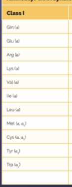 <p>Explain Class I tRNA synthetases</p>