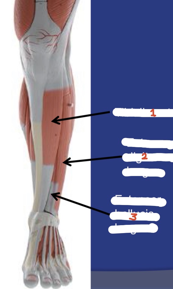 <p>1</p>
