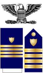 <p>The collar device is a silver eagle. The shoulder board is blue with a shield and four gold lines.</p>