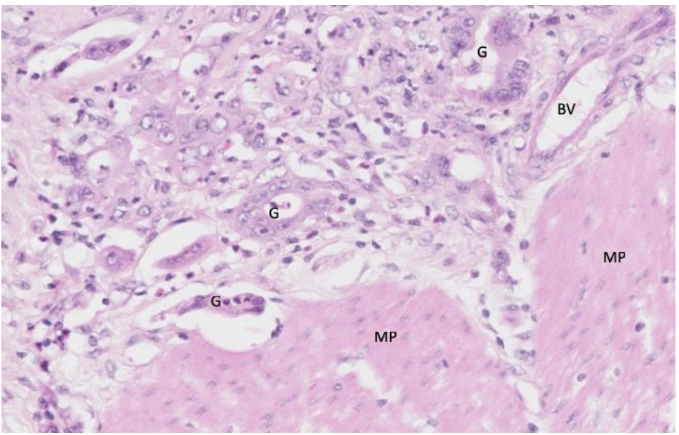 <p>What does this show?</p>