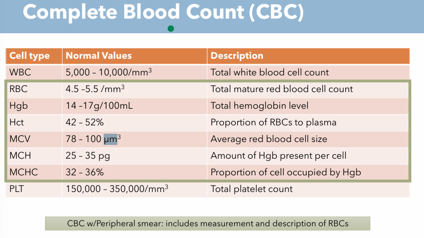 <p>Description: <strong>Average red blood cell size</strong></p><p>Normal Value: <strong>78 - 100 µm³</strong></p>