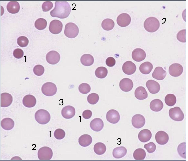 <p>What is this?</p>