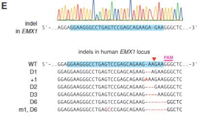 <p>explain fig 1E cong </p>