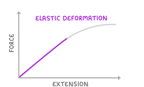 <p>What sort of deformation occurs in highlighted part of the line?</p>