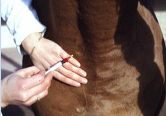 <p>What is this for pulmonary function testing?</p>
