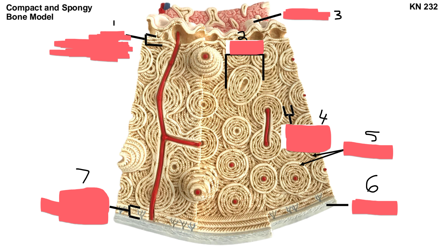 <p>6</p>