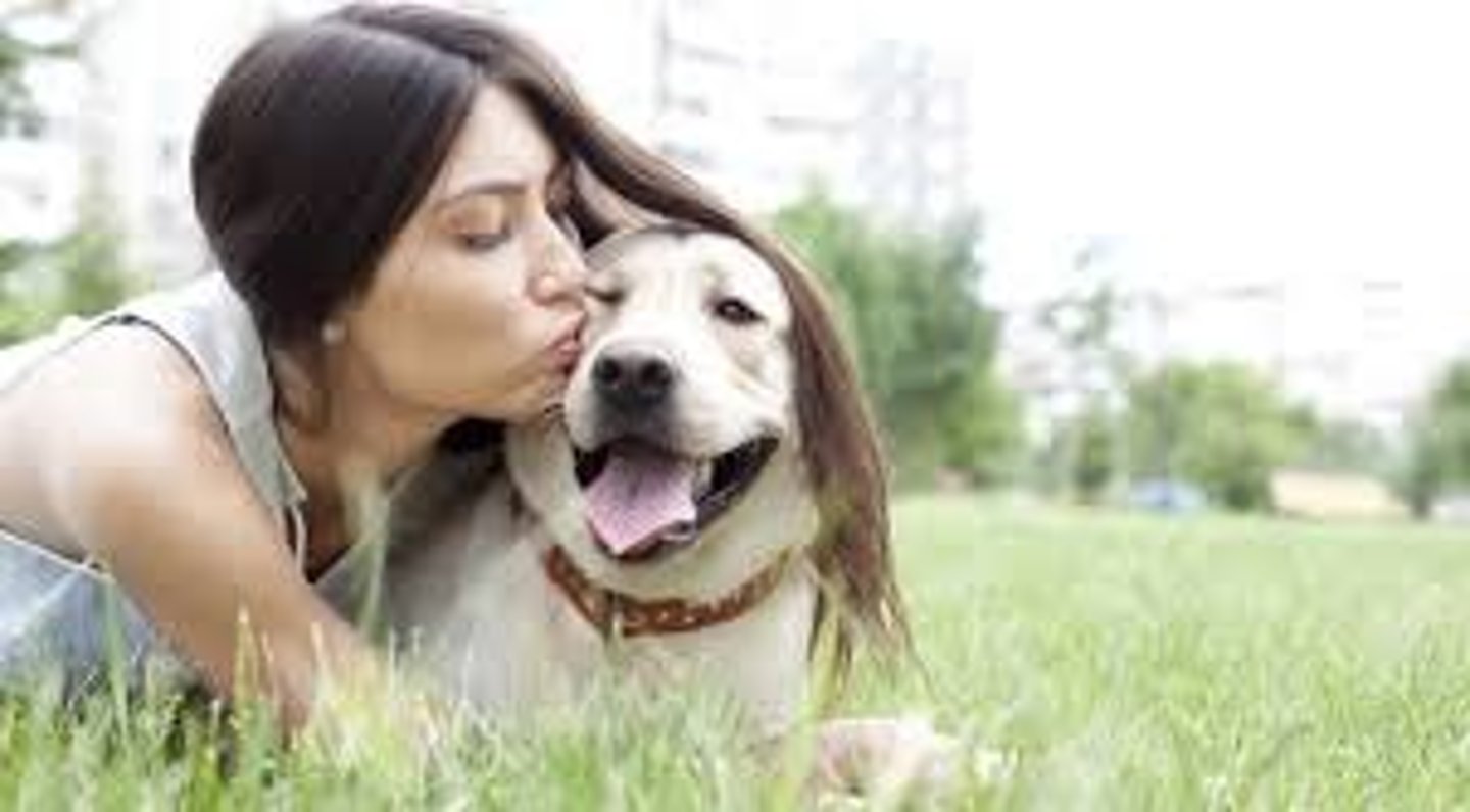 <p>affection; keen; devotion</p>