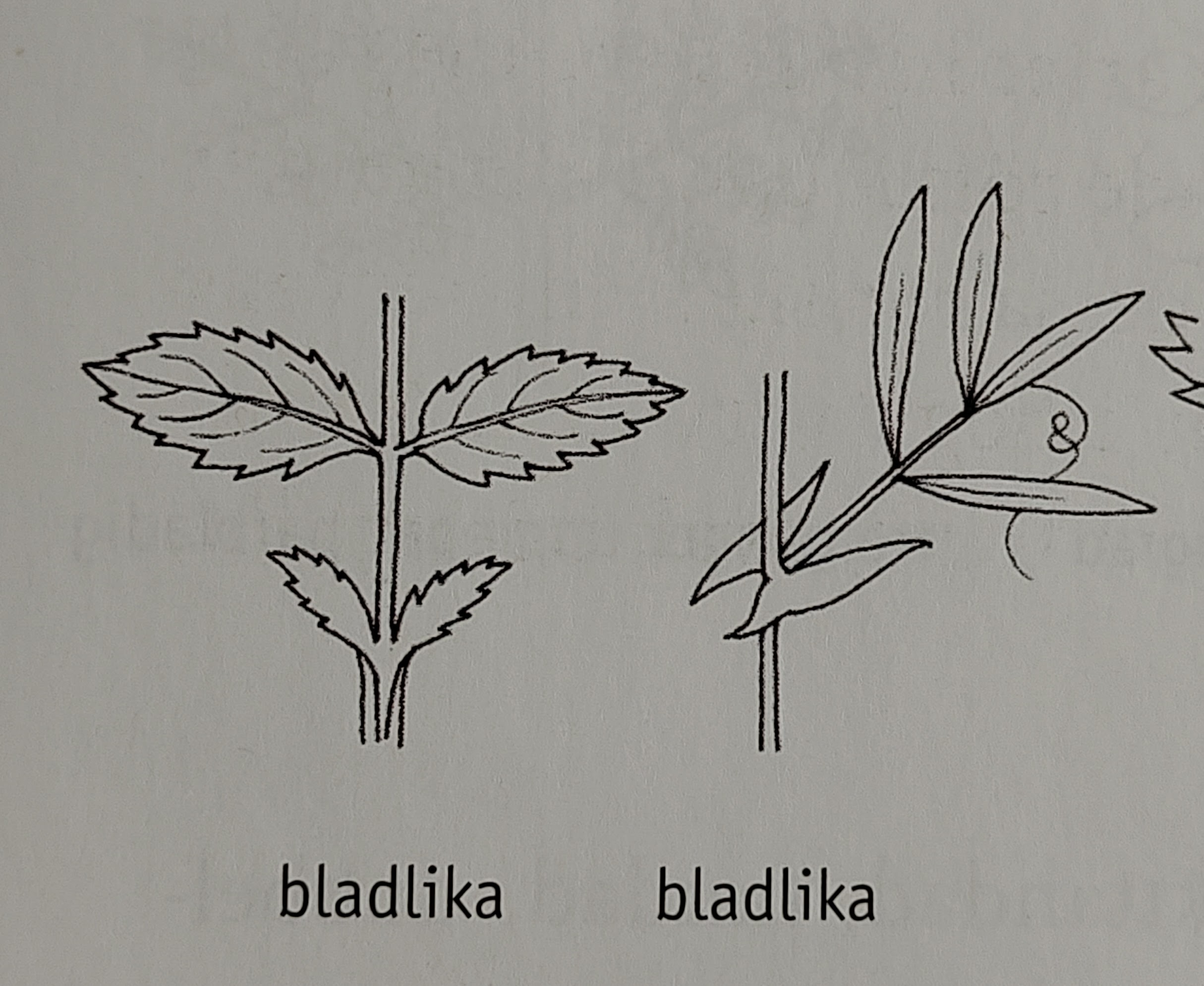 <p></p>