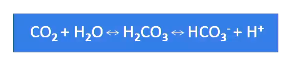 <p>• Decreased alveolar elimination of CO2 causes an increase in arterial concentration (PaCO2)</p><ul><li><p>This leads to the development of acidaemia (decrease pH)</p></li><li><p>Because the origin is inadequate ventilation it is termed a 'Respiratory acidosis'</p></li></ul><p></p>