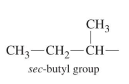 <p>4 carbons, CH<sub>3</sub>CH<sub>2</sub>(CH)CH<sub>3</sub> branch on the CH carbon</p>