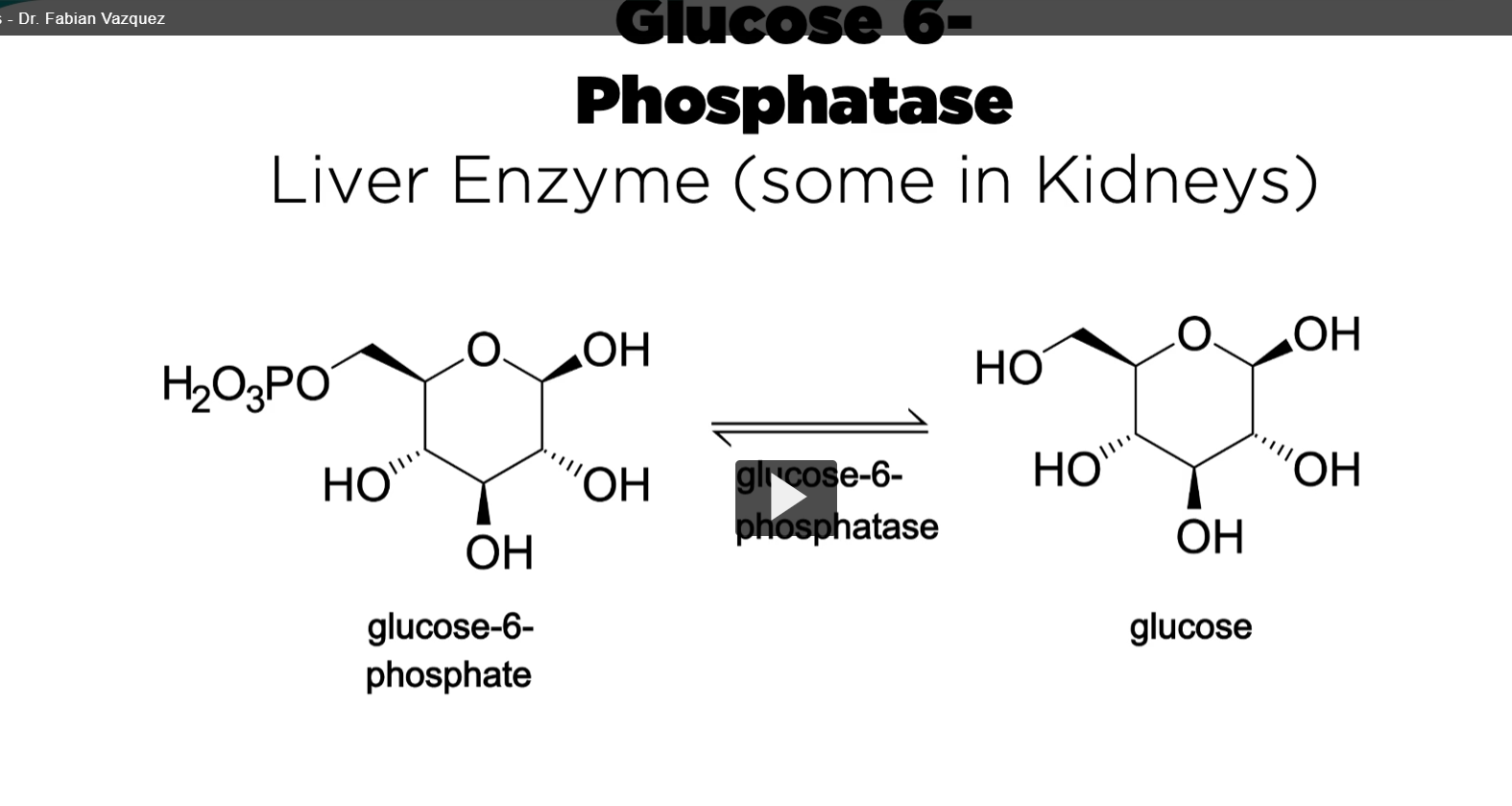 <p>in the liver and in some parts of the kidney, expression of glucose-6-phosphate carries out the last step of gluconeogenesis. </p><p>this enzyme opposes the action of glucokinase in the liver and its product is the free glucose that will supply the blood glucose. </p>