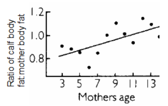 <p>Why does mothers giving birth to more fit children as they age make sense in terms of the cost-benefit analysis of parental investment?</p>