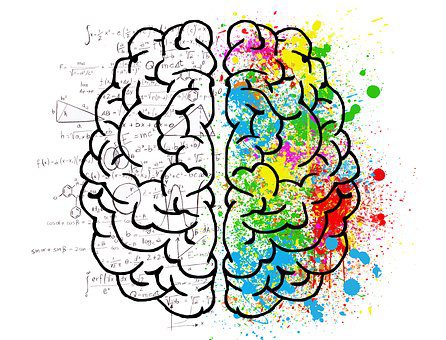 <p>What is 1 biological approach assumption?</p>