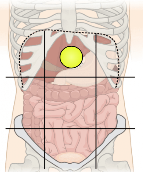 knowt flashcard image