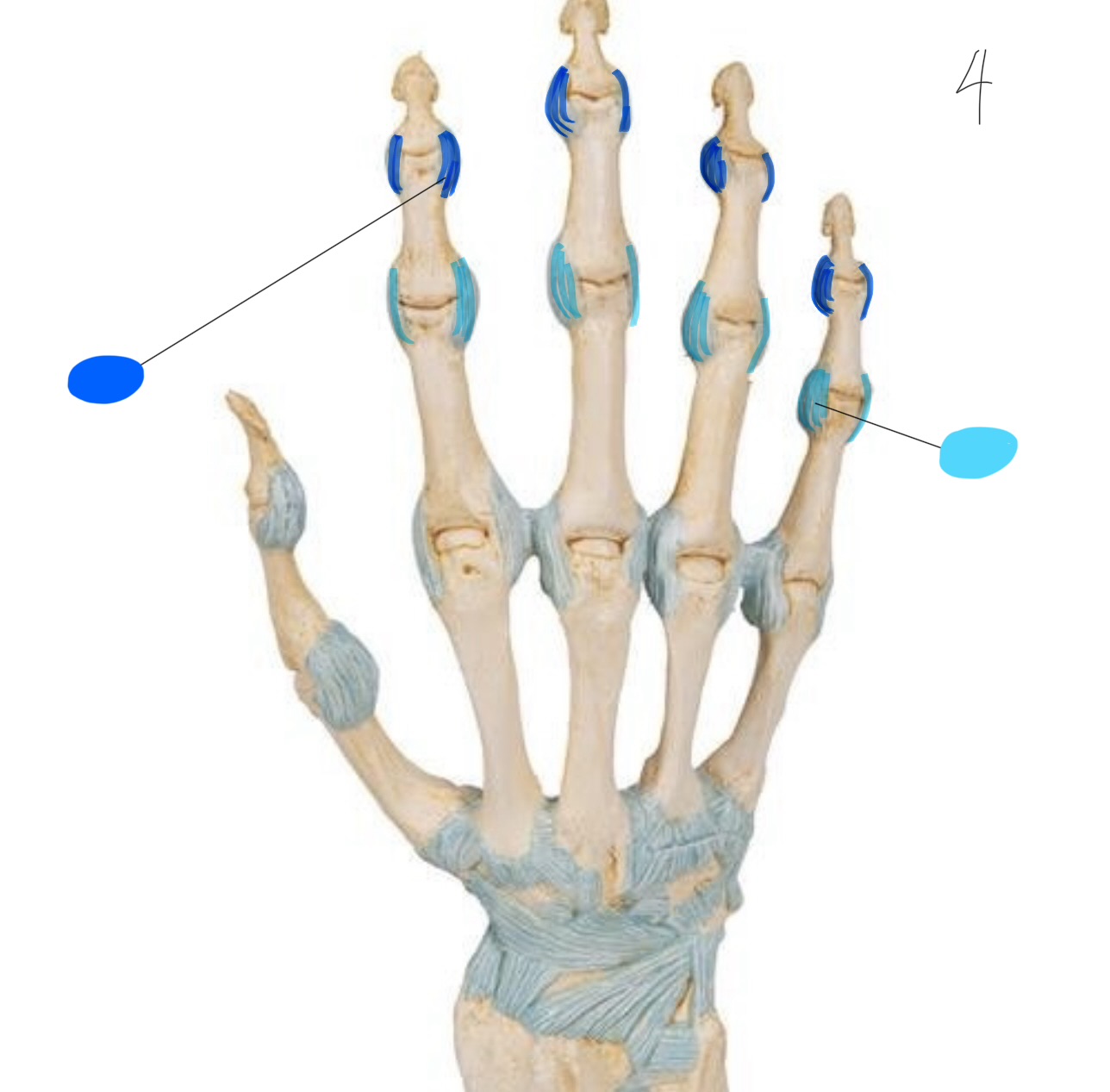 <p>CYAN</p>