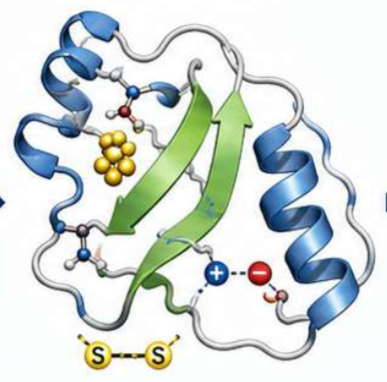 <p>Describe tertiary structure</p>