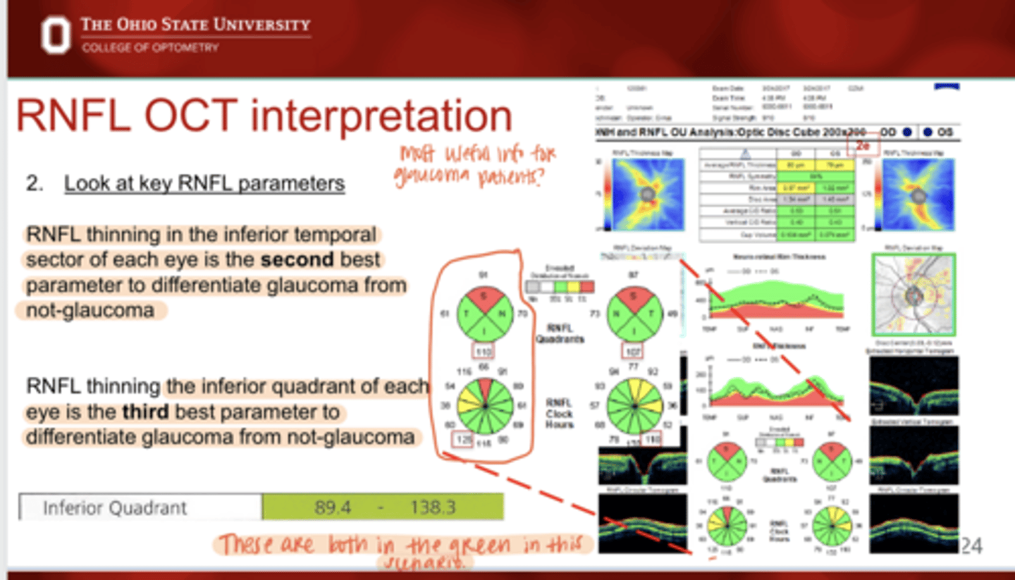 <p>What is the THIRD best parameter to differentiate glaucoma from not-glaucoma?</p>