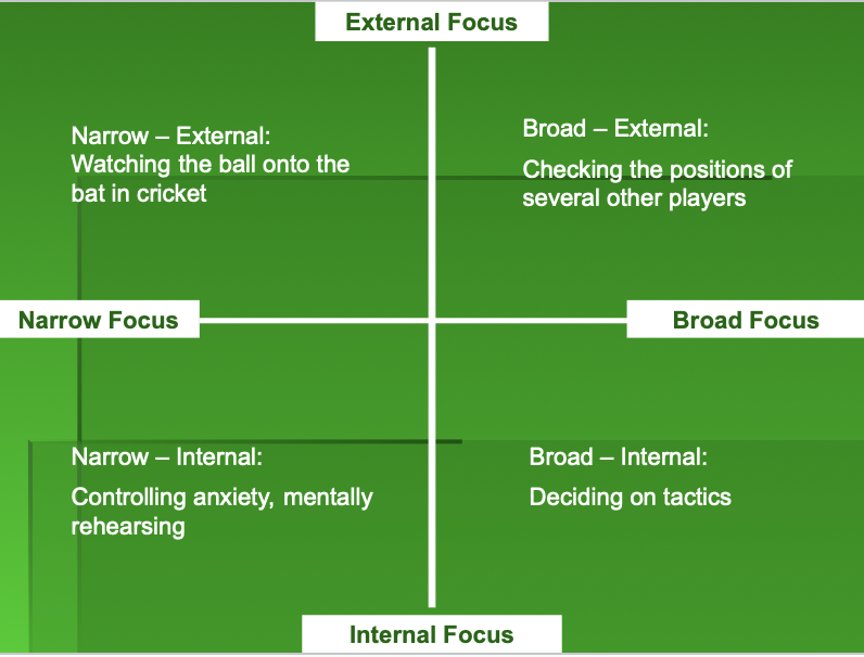 <p>Neideffer suggests that the kind of attetnional focus required ofr different activities varies </p>
