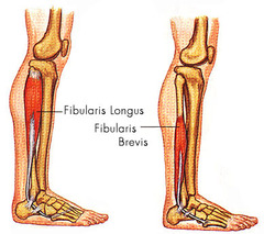 <p>walking on sand or a nature trail (uneven surfaces)</p>