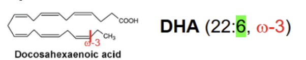 <p>omega-3 FA synthesized from linolenate.Made from 2 desaturations and 2 elongations of linolenate</p>