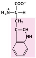 <p>Methyl + Indole</p>