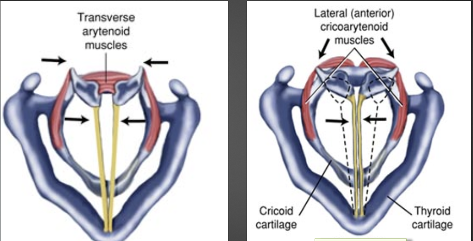 <p>what does this show</p>