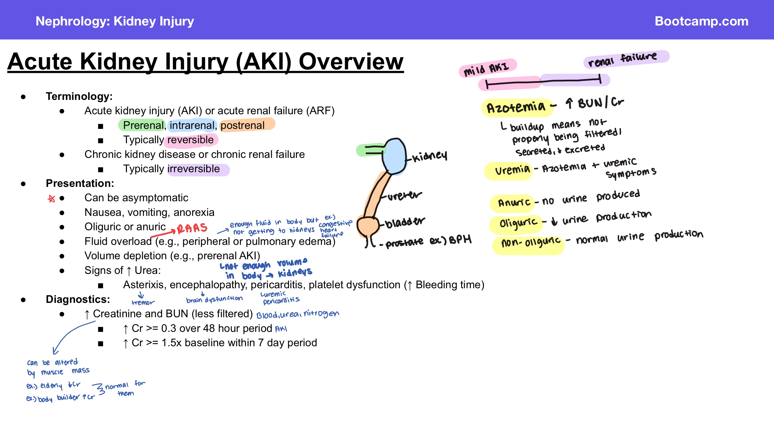 <p>Answer: Acute kidney injury is typically reversible, while chronic kidney disease is typically irreversible.</p>
<p>Extra Information:</p>
<ul>
<li>The slide also refers to chronic kidney disease as chronic renal failure.</li>
</ul>