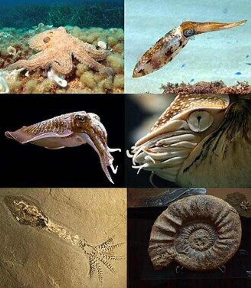 <p>What is this? </p>