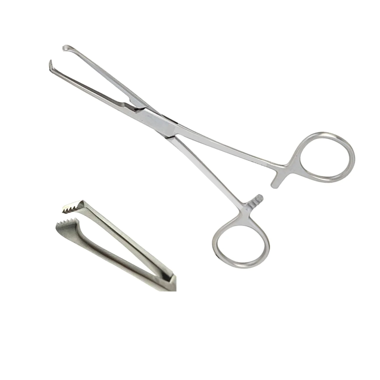 <p>Alli’s forceps</p>