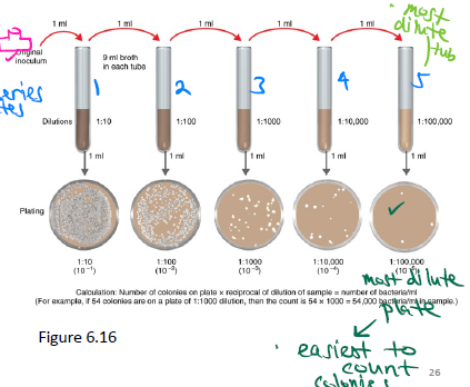 <p>1) Serial dilutions of sample.</p><p>2) Plate out serial dilutions.</p><p>3) Colony count.</p>