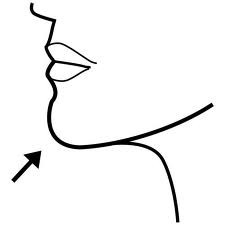 <p>chin</p>