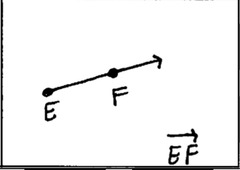 <p>A line that extends indefinitely in one direction</p>