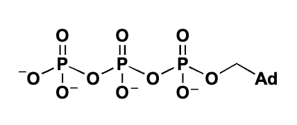 <p></p>