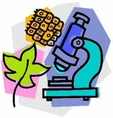 <p>the biology</p>