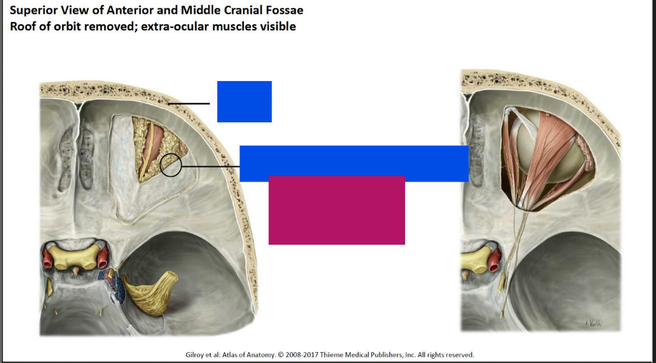 <p>Label this diagram</p>