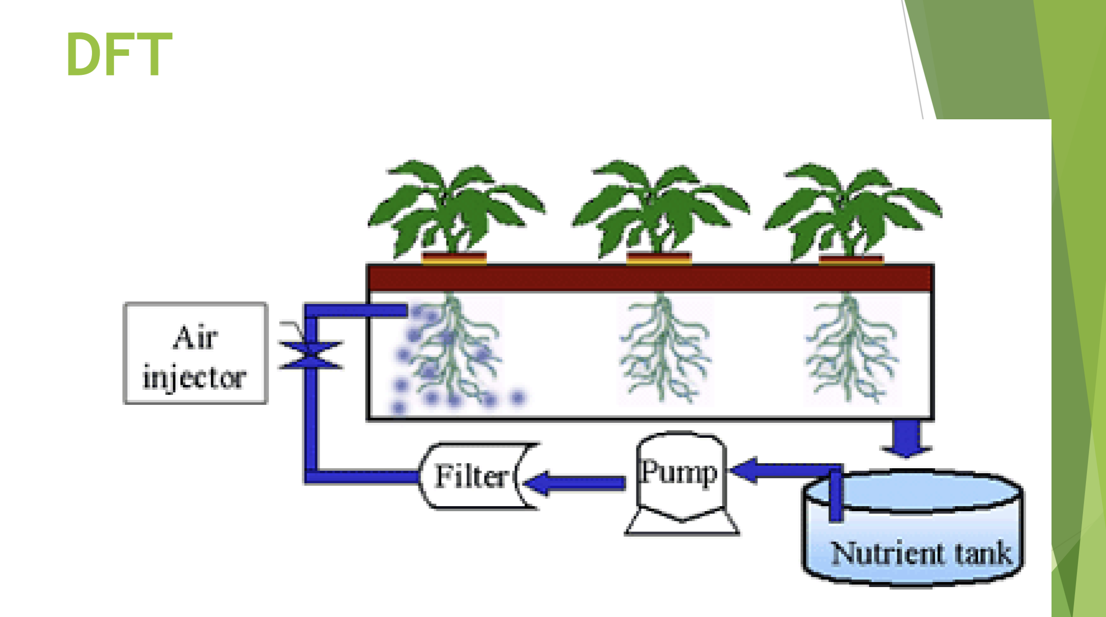 <p>The plants float on a raft (typically a sheet of foam plastics such as polystyrene) in a shallow tank less than <strong>0.3m</strong> deep. The tank, or pond, is filled with nutrient solution, and the plant roots hang down into the solution. The nutrient solution is <strong>monitored, oxygenated, replenished and recirculated as required.</strong></p>