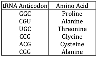 <p>An mRNA molecule with the sequence 5′-CCG-ACG-3′is being translated at a ribosome. The following charged transfer RNA molecules (with their anticodons shown in the 3′ to 5′ direction) are available. Two of them can correctly match the mRNA so that a dipeptide can form.</p><p></p><p>Which of the following dipeptides will form from this mRNA? 60) ______</p><p>A) alanine-alanine B) glycine-cysteine</p><p>C) proline-threonine D) cysteine-alanine</p>