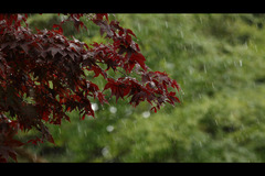 <p>it is raining</p>