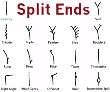<p>Split ends </p>
